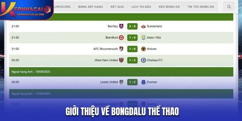 Giới thiệu về Bongdalu Thể Thao