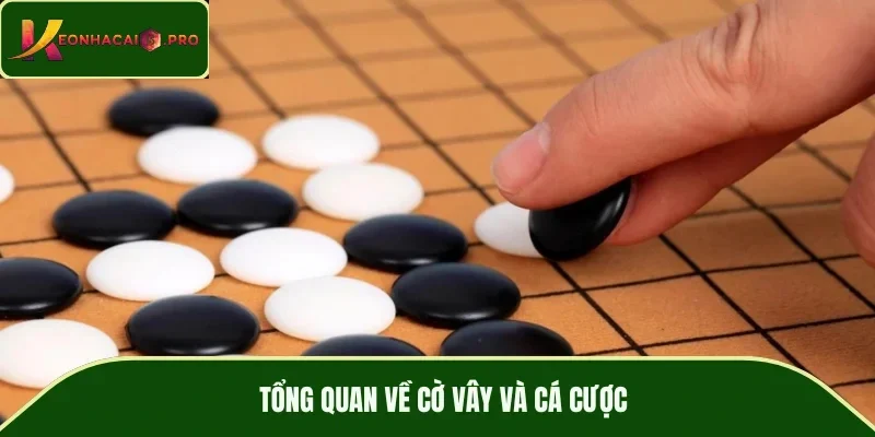 Tổng quan về cờ vây và cá cược