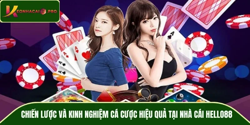 Chiến lược và kinh nghiệm cá cược hiệu quả tại nhà cái HELLO88