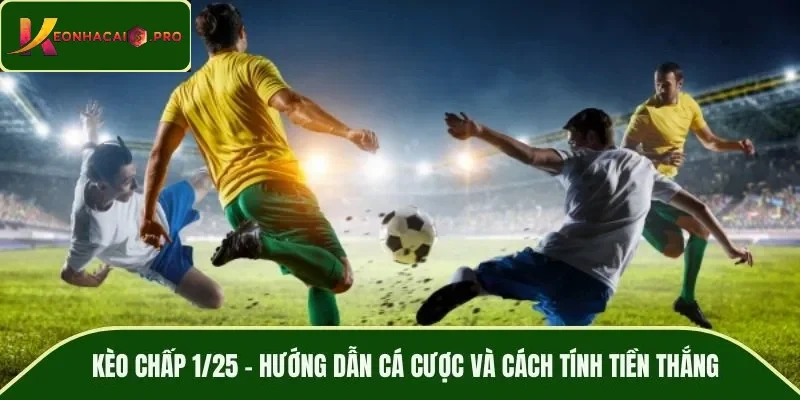 Kèo chấp 1/25