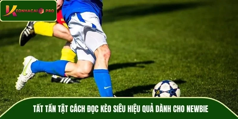 Tất tần tật cách đọc kèo siêu hiệu quả dành cho newbie