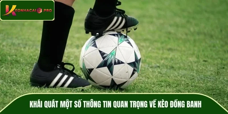 Khái quát một số thông tin quan trọng về kèo đồng banh