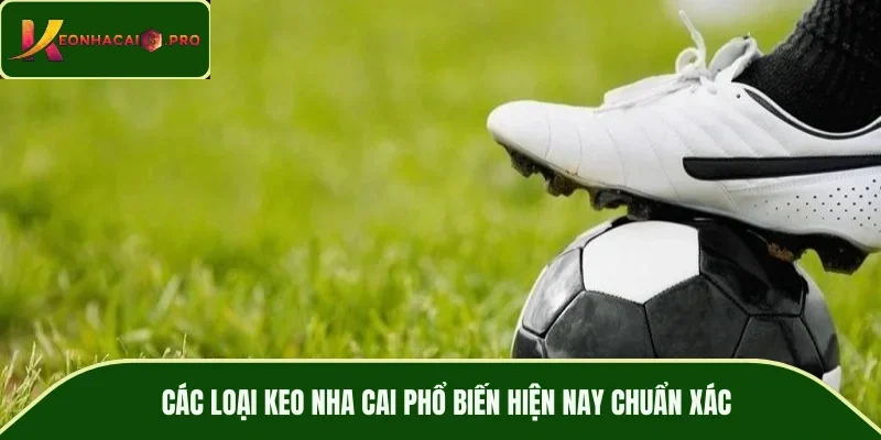 Các loại keo nha cai phổ biến hiện nay chuẩn xác