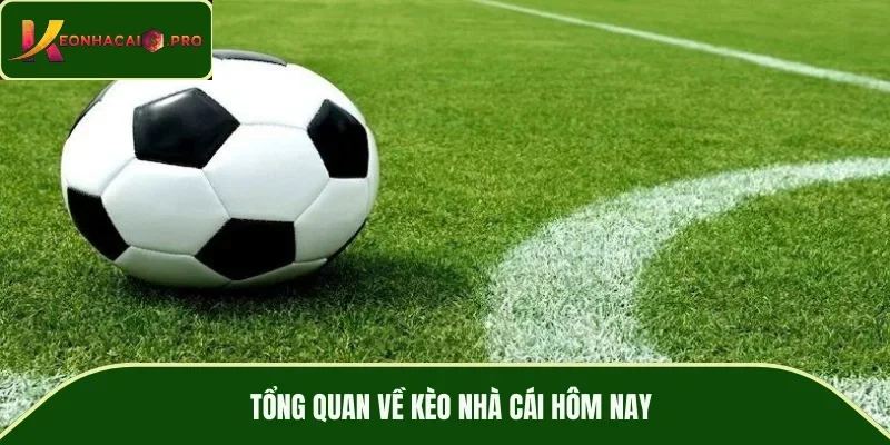Tổng quan về kèo nhà cái hôm nay