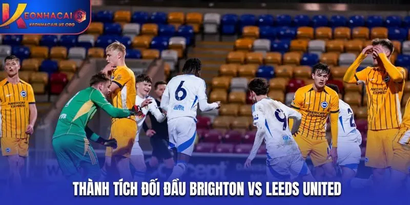 Soi kèo Brighton vs Leeds United - phân tích kết quả đụng độ nhau trước kia