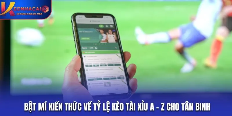 Tỷ Lệ Kèo Tài Xỉu - Bật Mí Kiến Thức Cá Cược Kèo Nhà Cái Mới Nhất 2025